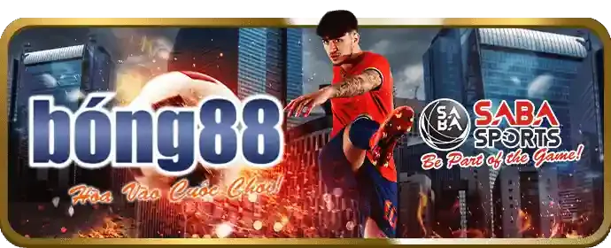 Biểu tượng quản lý vốn cá cược
